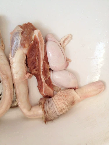 东北 长 新鲜 包邮 大鹿 鞭成年 鹿鞭真鹿鞭秋鞭 真品 正品 正品