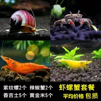 Purple Snail 2 Chili Crab 2 Xiangjis 5 Золотой рис 5