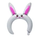 3-rabbit