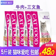 Cơm mèo Aier Cat Food Gói thức ăn cho mèo 500g * 5 Hạt tự nhiên Cat Thức ăn chính cho mèo Thức ăn cho cá Thịt 2kg