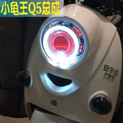 Rùa nhỏ lắp ráp đèn pha vua ống kính đôi ánh sáng xenon - Đèn HID xe máy
