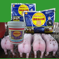Быстрые свиньи -свиньи Pist Da Suo Pig Feed Feathes of Poling Foods и едят больше фекалий