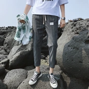 Kẻ sọc quần nam Hàn Quốc phiên bản của đôi chân mỏng quần xu hướng Harlan quần âu mùa hè hoang dã phần mỏng bf gió chín quần