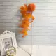 Rabbit Ball Deluxe Edition Big Strings Orange Orange