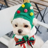 Кошка сбивает рождественский питомец мужчина рождественская шляпа кошка рождественская елка, шляпа, собака, собака, вода, рождественские фото украшения