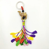 1 цветная верблюда