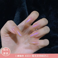 Голый Pomelo Color 433 + Aurora Shell Powder 05