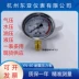 Hàng Châu Đông Á YN-100 máy đo áp suất địa chấn YN60 áp suất dầu địa chấn áp suất thủy lực 0-60 40 25 16MPA 