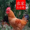 Товары от 泰顺一店
