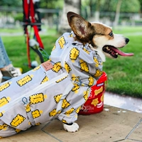 Бисквитный плащ