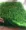 Mô phỏng sân cỏ tường trong nhà cỏ giả với hoa nhựa cây xanh cói mã hóa ban công trang trí sân cỏ nhân tạo - Hoa nhân tạo / Cây / Trái cây