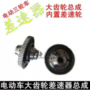 Chai điện ba bánh sau trục vi sai bánh răng hành tinh truyền động cơ răng bánh răng lắp ráp - Xe máy Gears