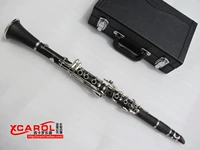 Chuyên nghiệp Một nhạc cụ clarinet 17 phím nhà máy trực tiếp - Nhạc cụ phương Tây đàn morris