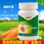 Jin Aoli thương hiệu car-carotene viên nang mềm vitamin A tự nhiên bảo vệ thị lực chăm sóc mắt cho người lớn - Thực phẩm dinh dưỡng trong nước bổ sung kẽm