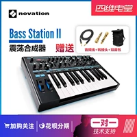 Novison Novation Bass Station II Классическая симуляция бас -бас 25 Ключ