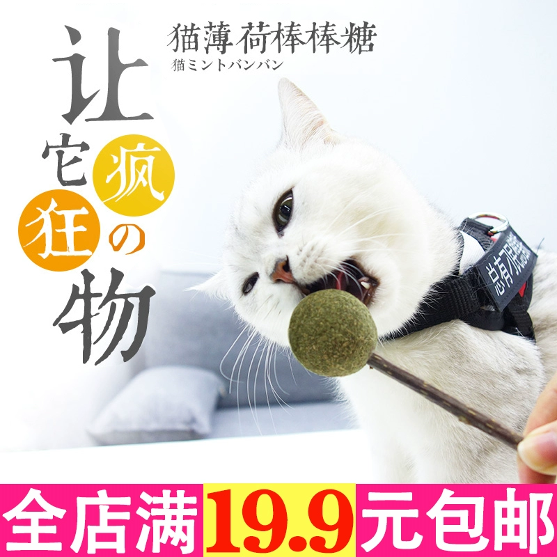 Catnip Ball Lollipop Gỗ Tian Li Cat Toy Molar Răng Trêu chọc Mèo Lolly Cat Grass Mèo Cung cấp Snack Cat Candy - Đồ ăn nhẹ cho mèo