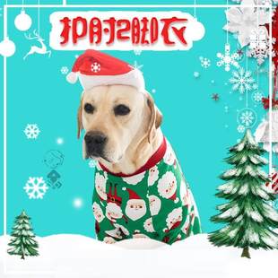 Pet Teddy dog ​​joint clothing, elbow pads, autumn clothes for puppies, autumn fashion and personalized protection.