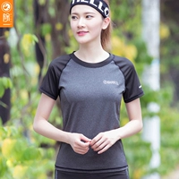 Быстросохнущая одежда для йоги, спортивная эластичная футболка с коротким рукавом, для бега, популярно в интернете, в обтяжку, большой размер