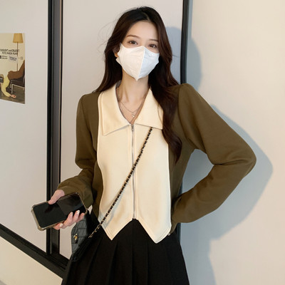 taobao agent Autumn jacket, plus size, french style, fitted