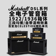 Marshall Marshall Loa DSL Series Box Head Tube 19221936 Hộp giống Rồng sừng - Loa loa