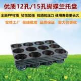 Фабрика PP Пластиковый глупый цветочный бассейн Стрип картена Планка -плагин -в чашке трастового питания чаша