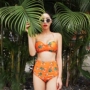 Wei Naibo 9959 Thái Lan in ấn du lịch tập hợp bikini nhỏ ngực nữ eo cao đã mỏng che bụng bikini - Bikinis áo tắm 1 mảnh