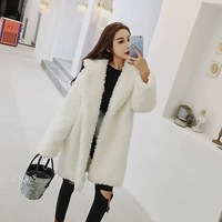 Mùa thu đông 2018 phiên bản Hàn Quốc mới của áo khoác giả lông dày ve áo giả lông cừu nhẫn trong chiếc áo khoác dài sang trọng của phụ nữ áo choàng lông ngắn