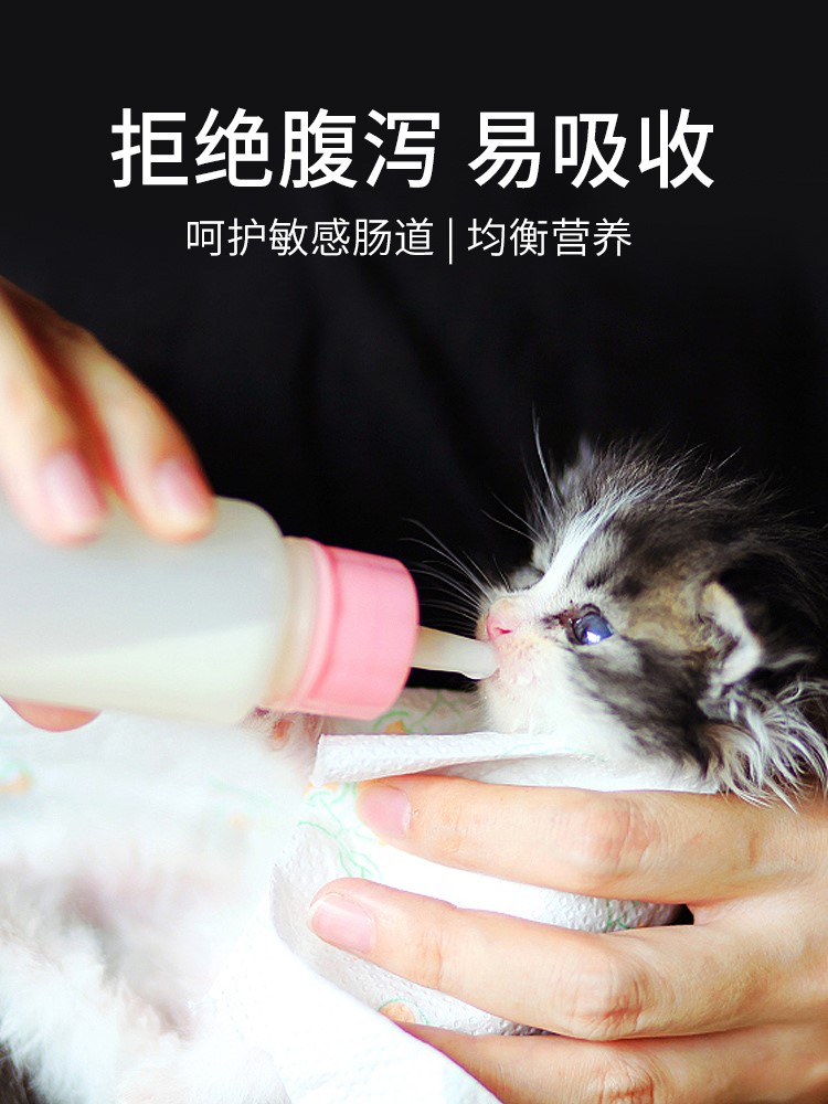 小猫喝奶粉价格 小猫喝奶粉图片 星期三