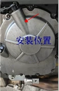 Qianjiang Benelli xe máy Huanglong 600 phụ kiện ban đầu ly hợp đẩy thanh kéo cánh tay mang dầu con dấu - Vòng bi