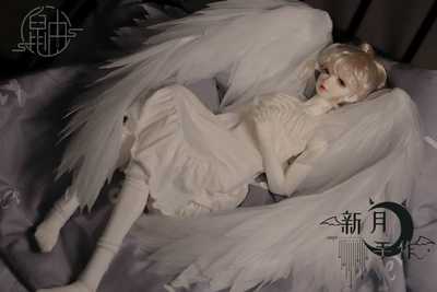 taobao agent BJD wings/bjd accessories/construction period around one week/large 80cm/small 50CM/