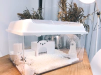 Синсинг мяч Ikea Flying Baoquan High и прозрачный хрустальный Hedgehog hedgehog hedgehog hedgehog tongxin house 60