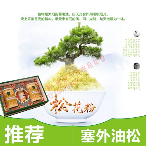 Подлинный Джамсон, Сосновая сосна пыльца северо -восток дикой дикой высокой качественной подарочной ящика для пыльцы сосновой качества, сестра Чен порекомендовала