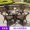 Biệt thự sân bàn ghế trà giải trí châu Âu cửa hàng mây ba mảnh đồ gỗ ngoài trời kết hợp đơn giản rèn sắt - Bàn ghế ngoài trời / sân