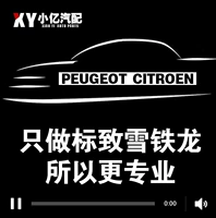 Адаптированный юридический отдел Xiaoyi голоса Xiaoyi Lang Peugeot Citroen оригинальный поставщик аксессуаров PSA Департамент юридического факультета