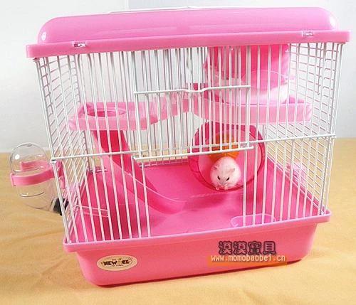 Новый век Новый год Sakura Time Standar