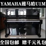 Đàn piano nhập khẩu nguyên bản Nhật Bản Yamaha Yamaha yamaha U1M u1m đàn piano gia đình cao cấp - dương cầm