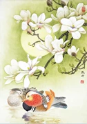 Tô Châu thêu DIY mộc lan kit hoa và chim Yuanyang bộ 40cm * 60cm miễn phí vận chuyển hết công suất ban đầu thách thức - Bộ dụng cụ thêu