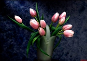 Tô Châu thêu DIY kit mới bắt đầu vẫn sống tulip bình đầy thêu 60 * 42 món quà tân gia sơn thêu tay - Bộ dụng cụ thêu