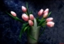 Tô Châu thêu DIY kit mới bắt đầu vẫn sống tulip bình đầy thêu 60 * 42 món quà tân gia sơn thêu tay - Bộ dụng cụ thêu tranh thêu phong cảnh