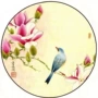 Su thêu DIY kit người mới bắt đầu đột quỵ sơn magnolia chim của nhãn hiệu mẫu nhập thêu bản đồ tập thể dục gửi hướng dẫn khung tranh thêu chữ thập