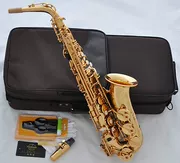 Mua sắm Saxophone chuyên nghiệp Vàng Xintaishan Eb Alto F Nhạc cụ phương Tây chuyên nghiệp Saxophone