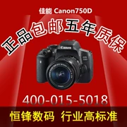 Máy ảnh Canon nhập cảnh cấp độ chuyên nghiệp Máy ảnh chuyên nghiệp Canon Canon750D 18-135 chính hãng - SLR kỹ thuật số chuyên nghiệp
