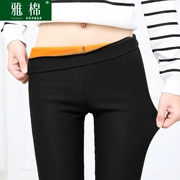 Ban sáng không có túi cộng với quần legging nhung mặc quần chân nhỏ mùa thu và mùa đông, quần thun co giãn ấm áp không thể mua được quần âu bóng