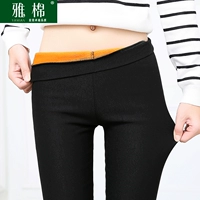 Ban sáng không có túi cộng với quần legging nhung mặc quần chân nhỏ mùa thu và mùa đông, quần thun co giãn ấm áp không thể mua được quần âu bóng quần nữ