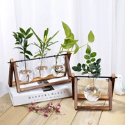 Sáng tạo gỗ thủy tinh bình hoa đứng thủy canh cây xanh trồng hoa văn phòng bàn nước cây xanh dul sạch không khí - Vase / Bồn hoa & Kệ
