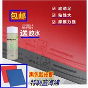 Xác thực 郗 Tham gia tập huấn luyện bóng bàn cao su trên tập hợp bộ chống dính phổ biến của lớp đào tạo phòng tập thể dục đào tạo cấp tỉnh Boer