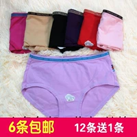 6 vận chuyển tím đỏ Lycra bông ladies tam giác đồ lót mẹ cao eo stretch cotton đồ lót M-XXL mã quần lót bé gái