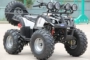 125-250cc ATV bốn bánh xe off-road kích thước xe bắt nạt bãi biển xe máy off-road xe điện nhỏ