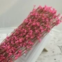2016 điên cướp cướp mô phỏng mây tự làm vòng hoa chất liệu cành hoa nhỏ berry vòng tay đầu làm phụ kiện - Hoa nhân tạo / Cây / Trái cây hoa lan hồ điệp giả