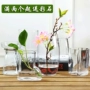 [Đặc biệt hàng ngày] bình thủy tinh nhỏ treo chai thực vật sáng tạo hình vuông thủy canh bình treo chậu lan - Vase / Bồn hoa & Kệ mua chậu trồng cây